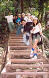 stairsdown.jpg (145280 bytes)