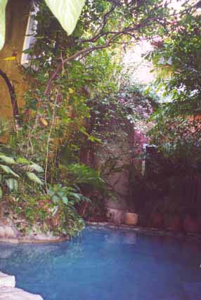 The pool at hotel Casa Mexilio